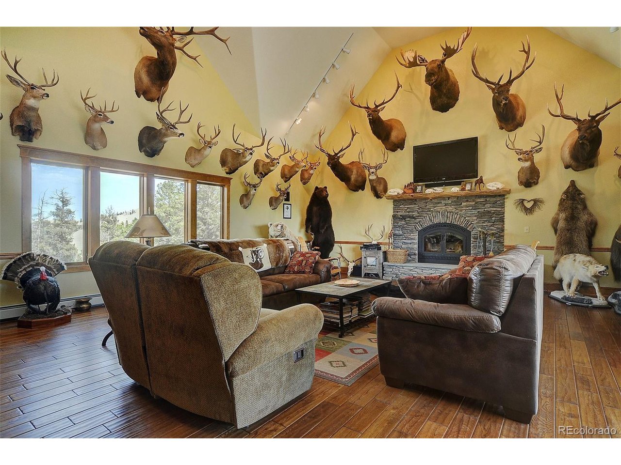 1251 Antelope Trail Cotopaxi, CO 81223 - Photo 7 of 38 a living room with fireplace furniture and a flat screen tv
