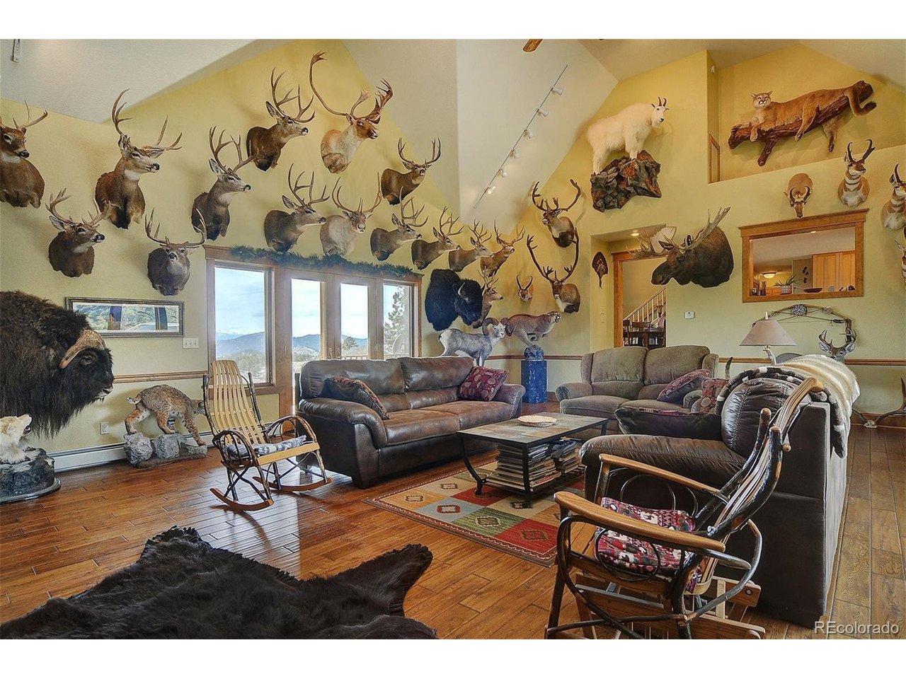 1251 Antelope Trail Cotopaxi, CO 81223 - Photo 8 of 38 a living room with rug and a painting on the wall