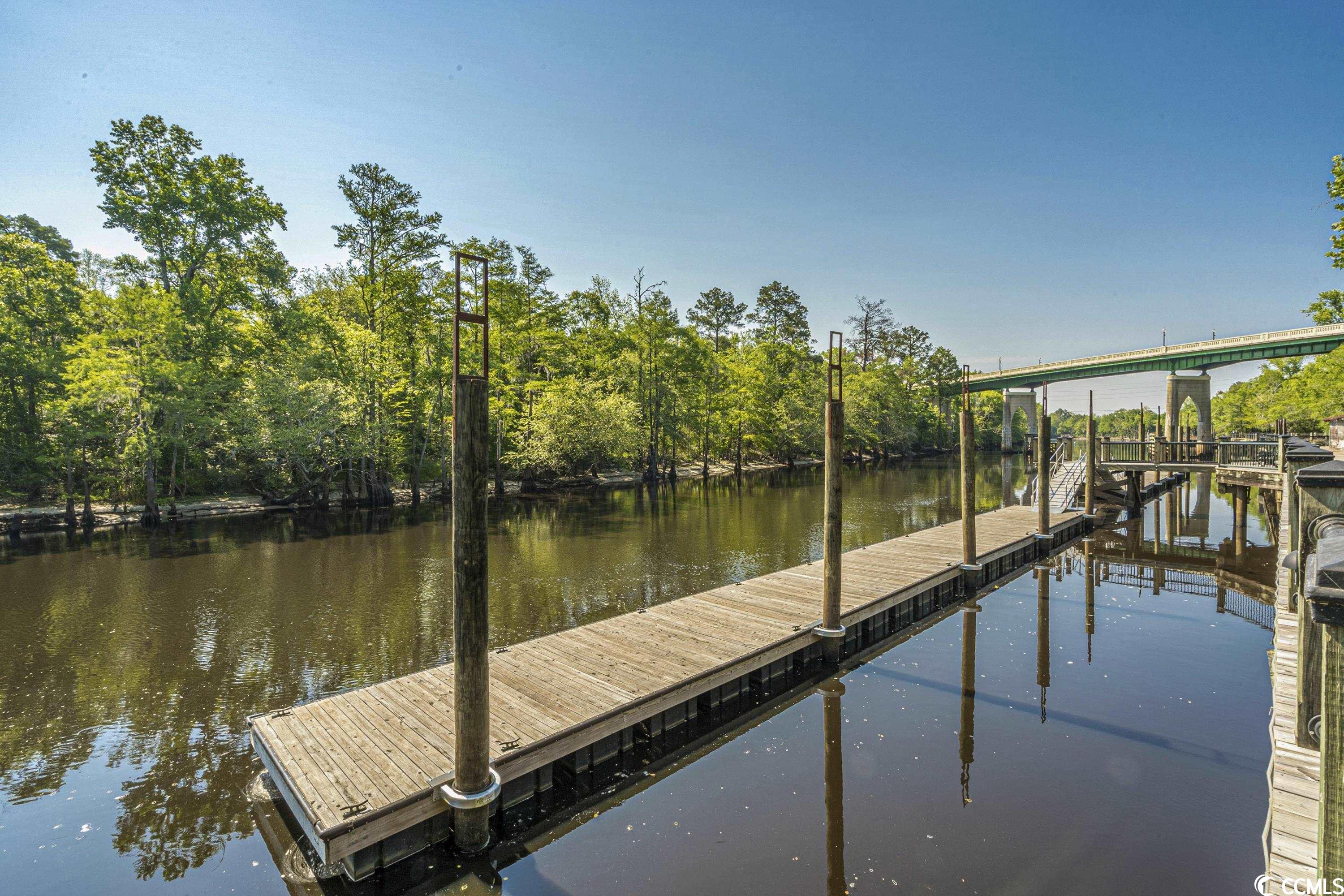 5439 Carroll Todd Road Conway, SC 29526 - Photo 24 of 26 Gallery Image 24