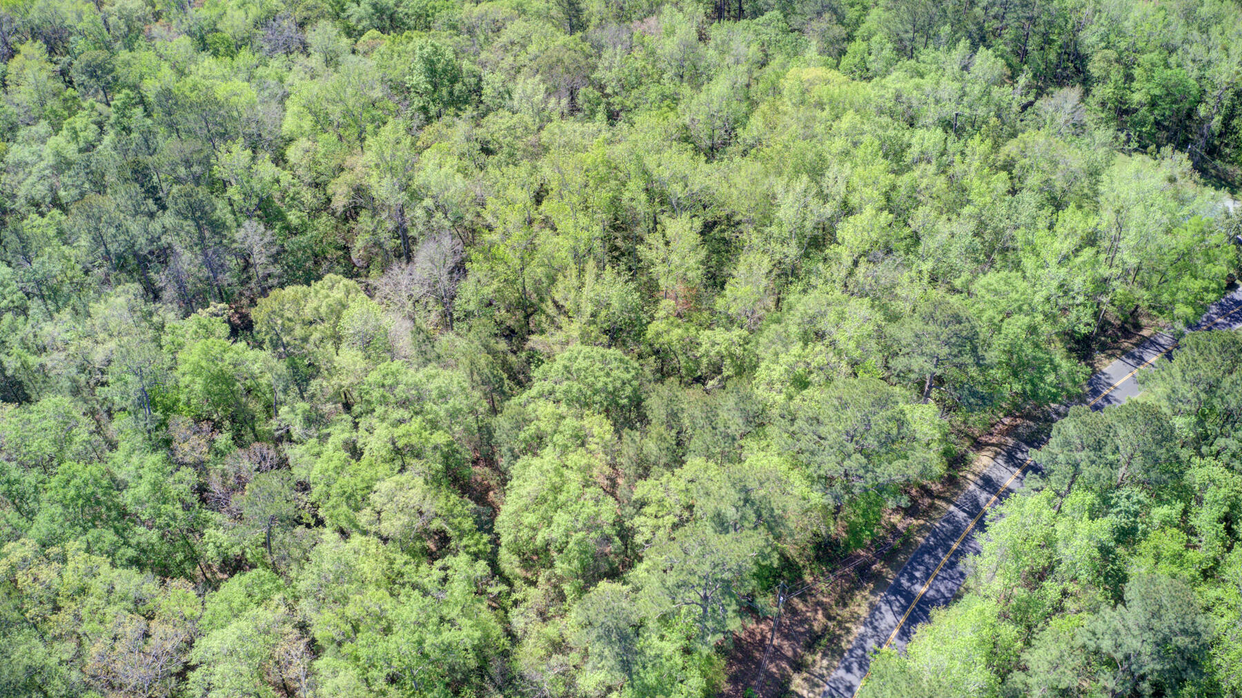 7000 Kinard Road Ravenel, SC 29470 - Photo 11 of 14 700 Kinard Rd, Ravenel SC (11)