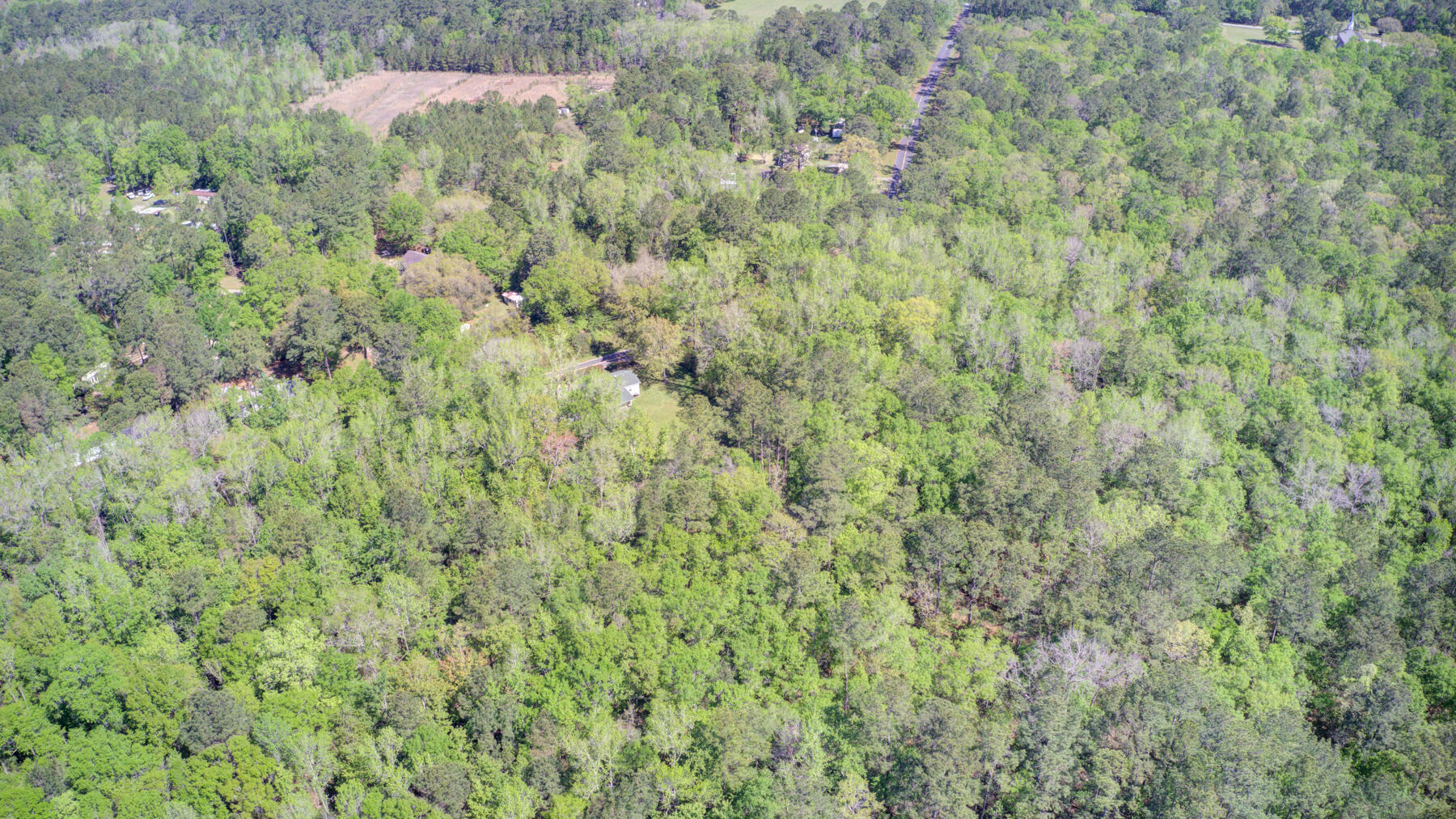 7000 Kinard Road Ravenel, SC 29470 - Photo 13 of 14 700 Kinard Rd, Ravenel SC (13)