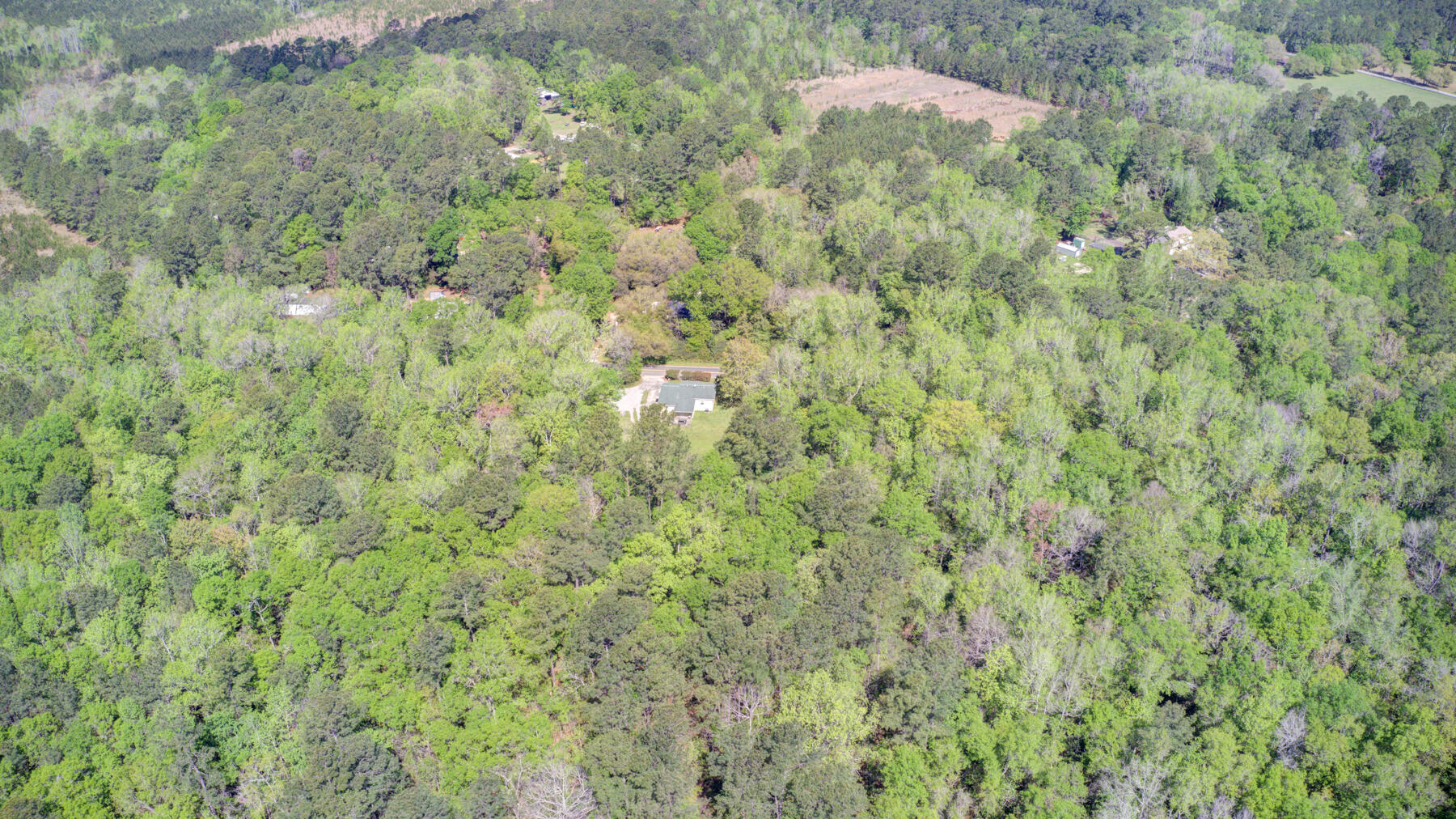 7000 Kinard Road Ravenel, SC 29470 - Photo 14 of 14 700 Kinard Rd, Ravenel SC (14)