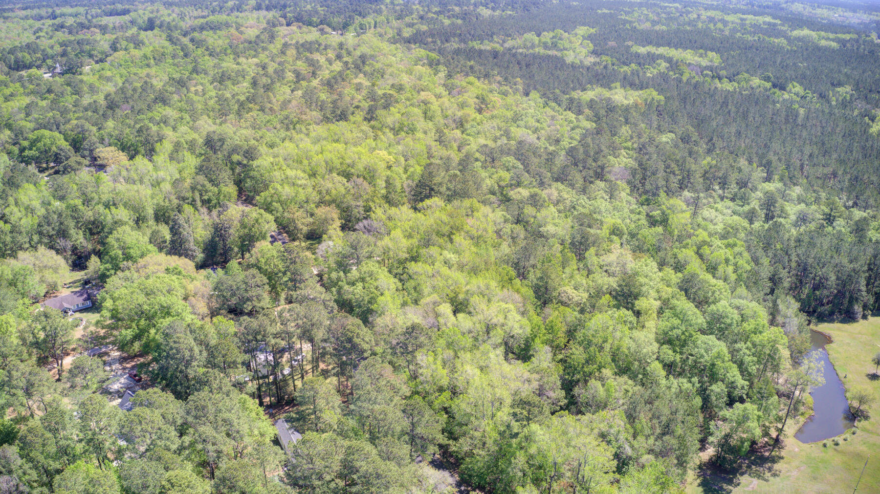 7000 Kinard Road Ravenel, SC 29470 - Photo 7 of 14 700 Kinard Rd, Ravenel SC (7)