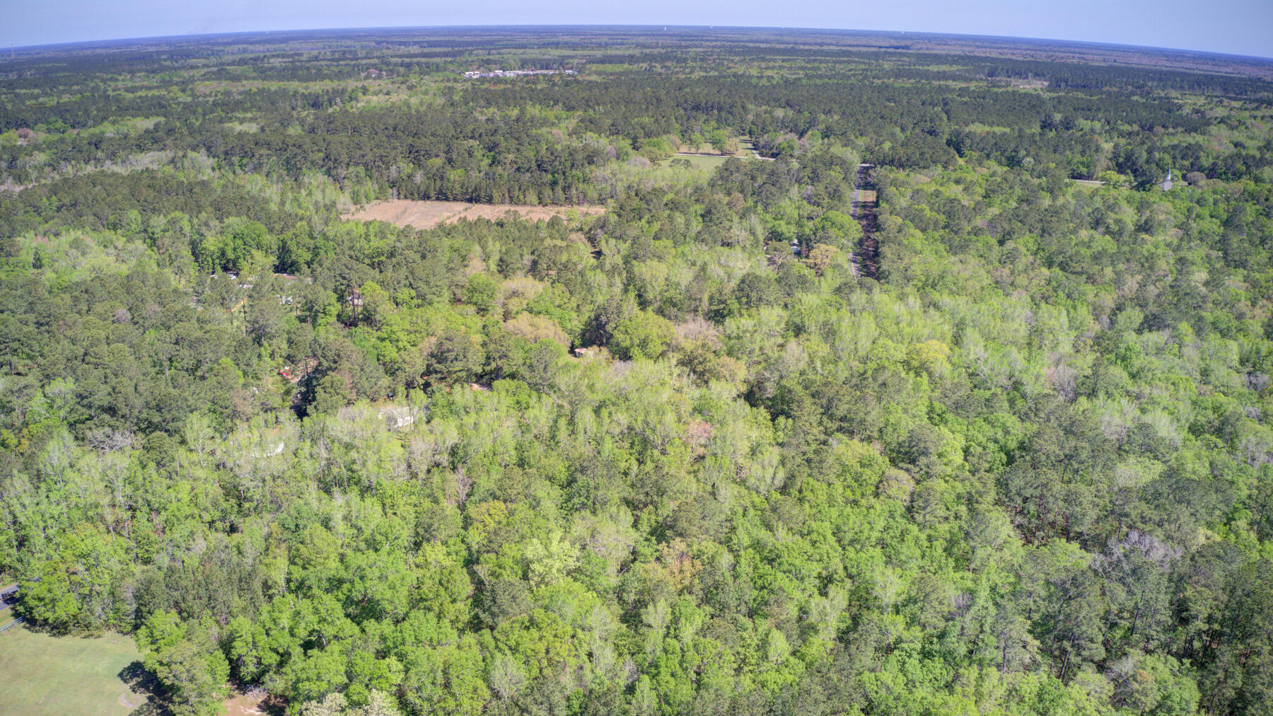 7000 Kinard Road Ravenel, SC 29470 - Photo 9 of 14 700 Kinard Rd, Ravenel SC (9)