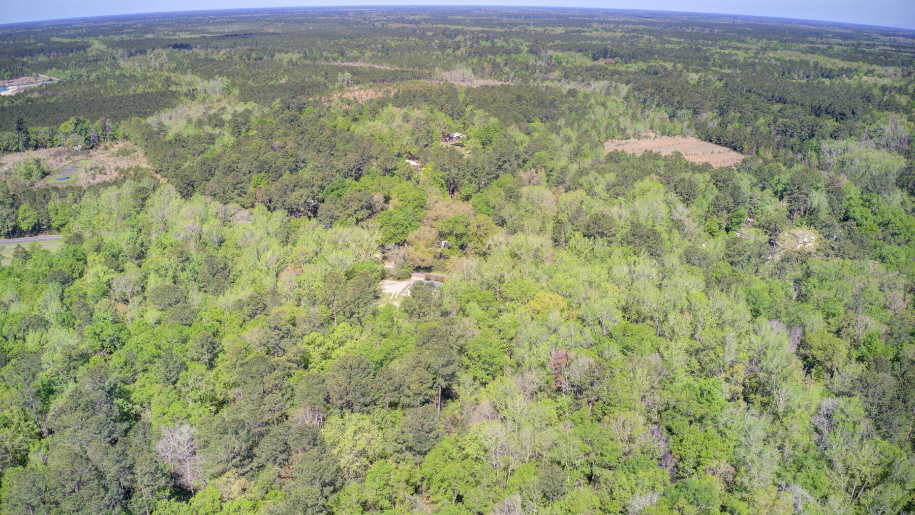 7000 Kinard Road Ravenel, SC 29470 - Photo 10 of 14 700 Kinard Rd, Ravenel SC (10)