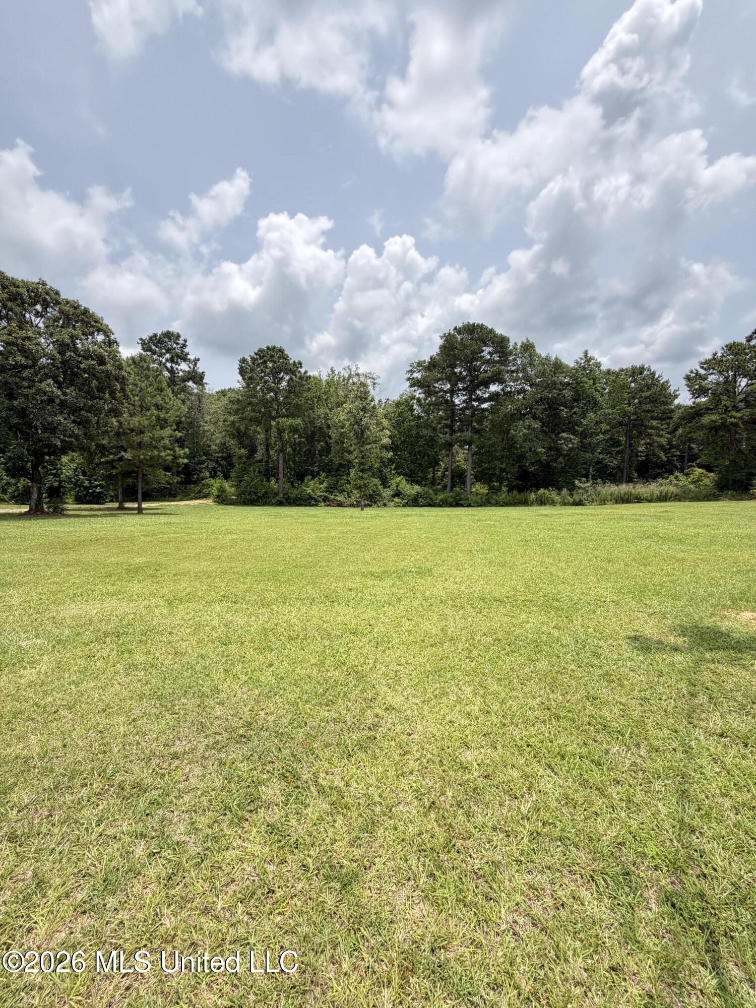 1123 Joel Lang Road Magnolia, MS 39652 - Photo 6 of 16 IMG_2892