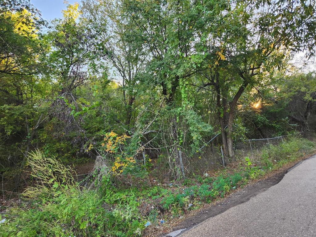 201 Oak Street Eustace, TX 75124 - Photo 1 of 1 a view of a garden with plants and large trees