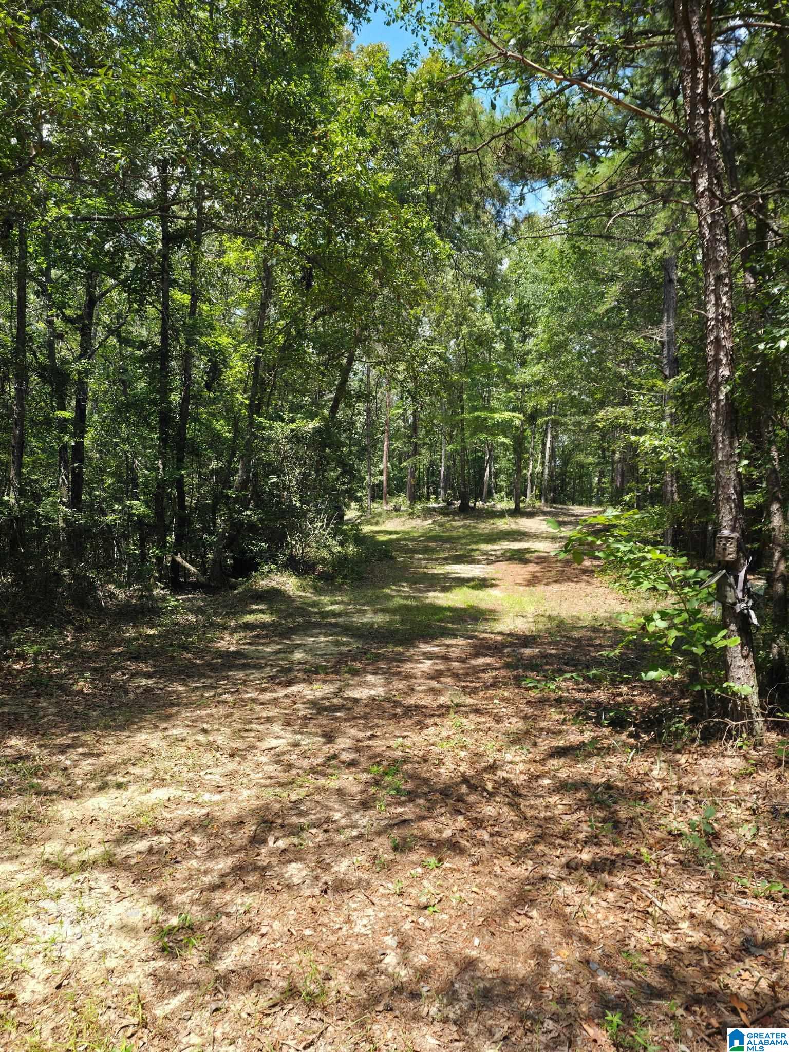 2 County Road 2, Unit 50 / ACRES Double Springs, AL 35553 - Photo 40 of 79
