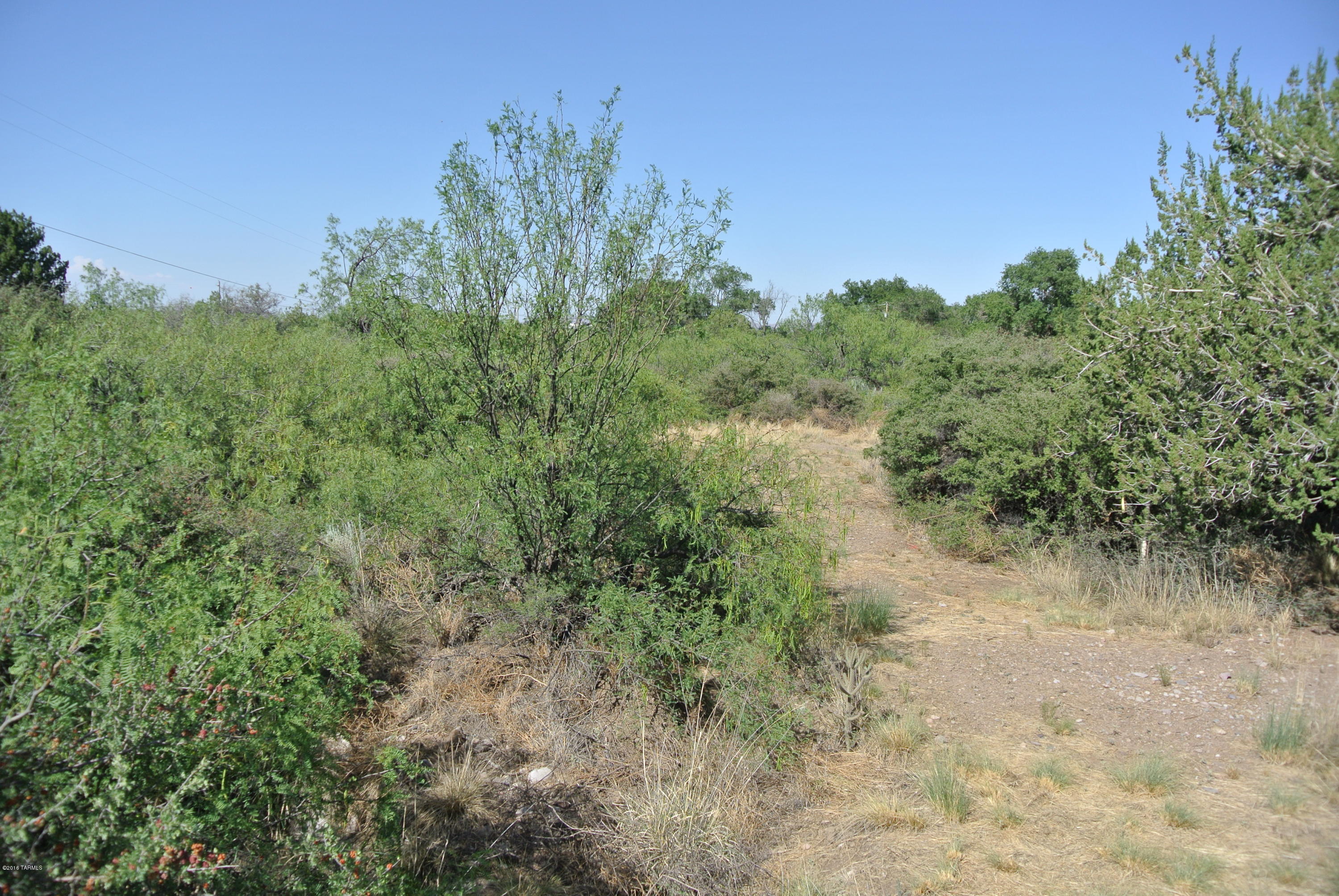 0 South Cathedral Rock Road San Simon, AZ 85632 - Photo 11 of 15