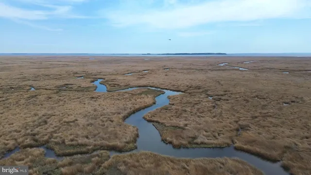 a view of an ocean beach