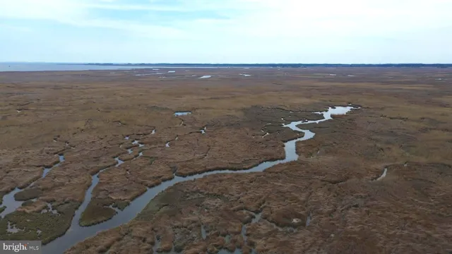 $89,999 | Waterfowl & Sika Deer - Waterfowl & Sika Deer - Wesley Road, Unit MUSKRAT HARBOR, Crapo, MD 21626