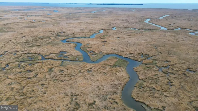 a view of beach and ocean