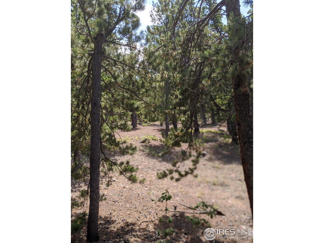 0 Jasper Road Black Hawk, CO 80422 - Photo 12 of 20 Gallery Image 12