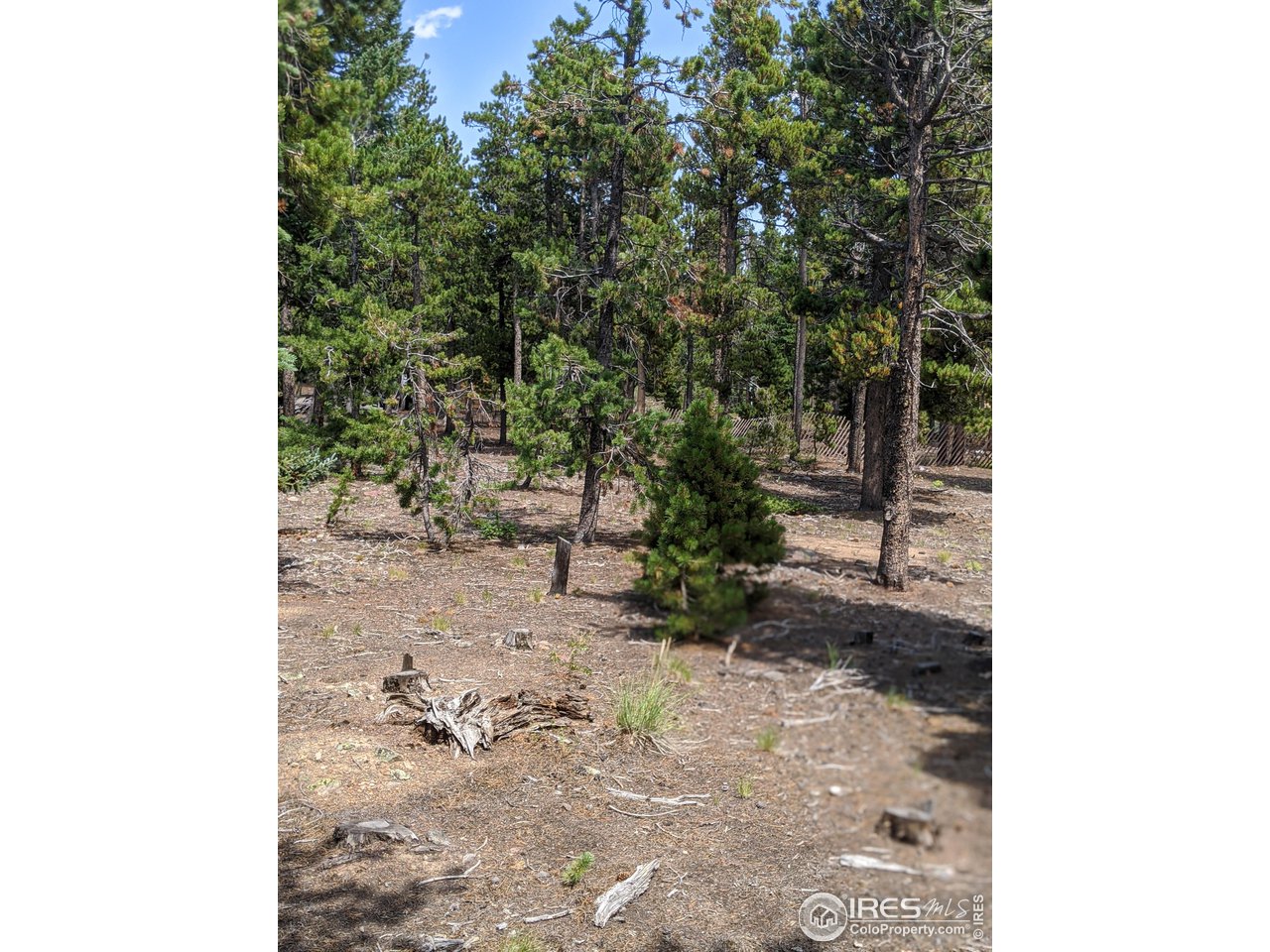 0 Jasper Road Black Hawk, CO 80422 - Photo 13 of 20 Gallery Image 13
