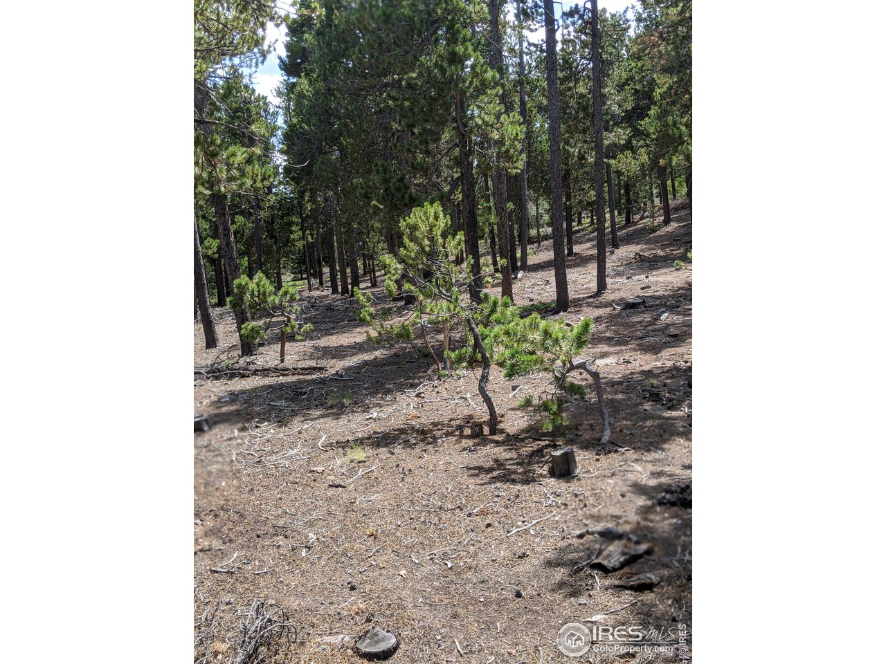 0 Jasper Road Black Hawk, CO 80422 - Photo 14 of 20 Gallery Image 14