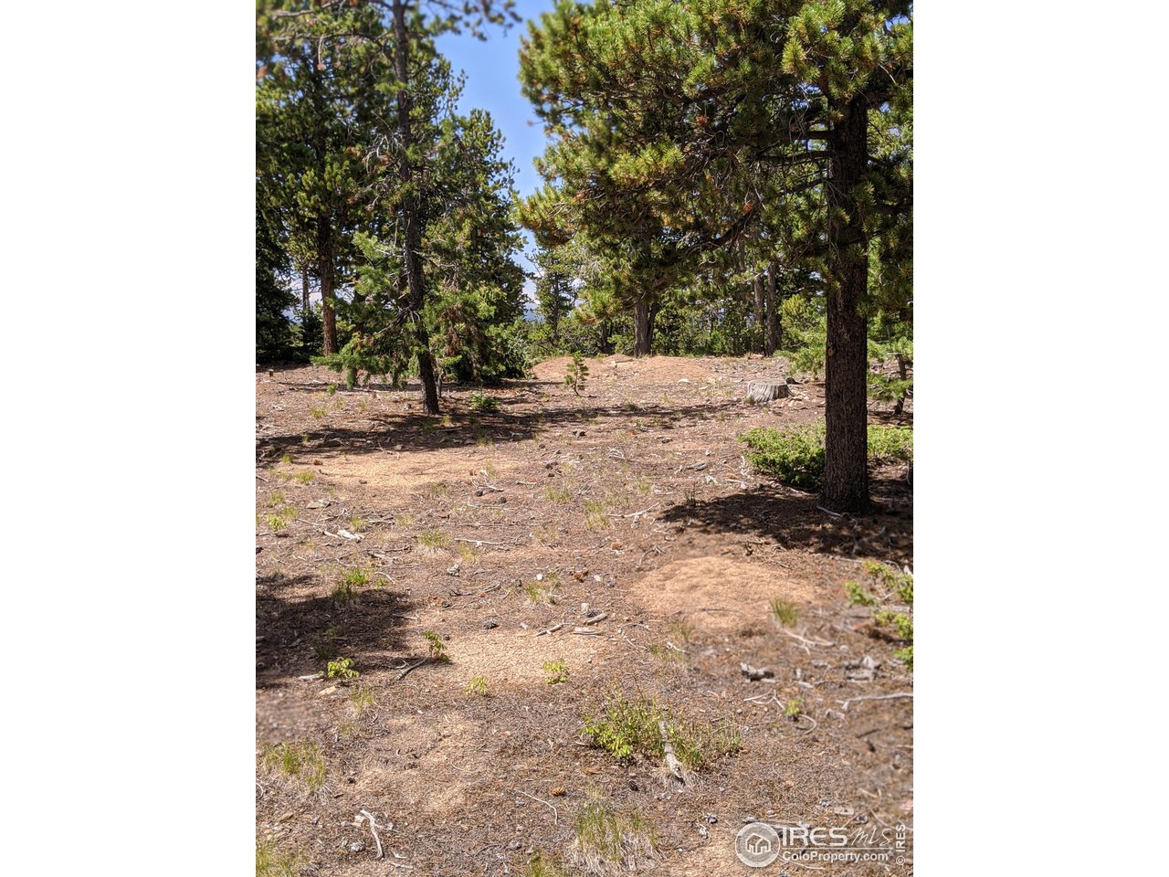 0 Jasper Road Black Hawk, CO 80422 - Photo 19 of 20 Gallery Image 19