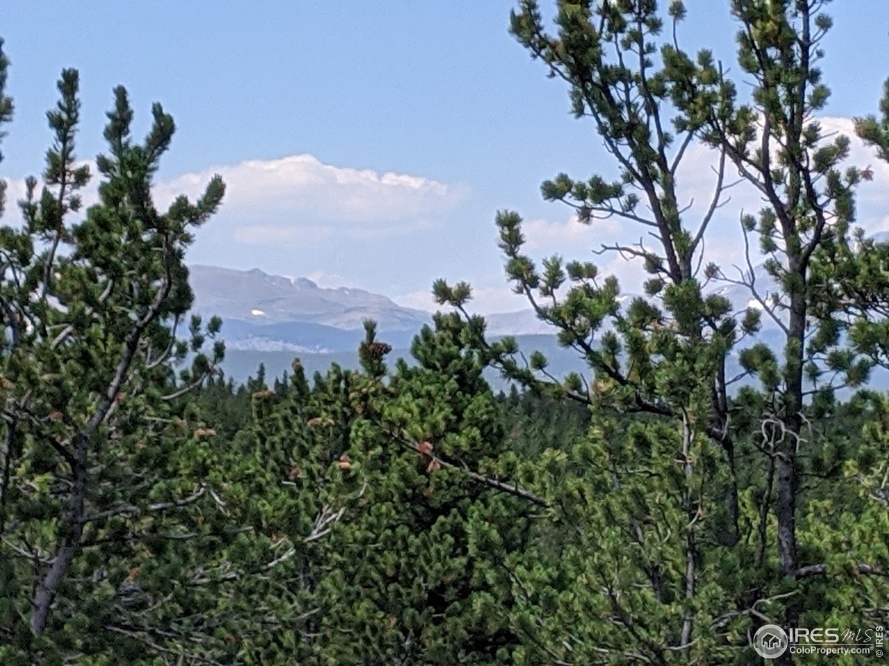 0 Jasper Road Black Hawk, CO 80422 - Photo 3 of 20 Gallery Image 3