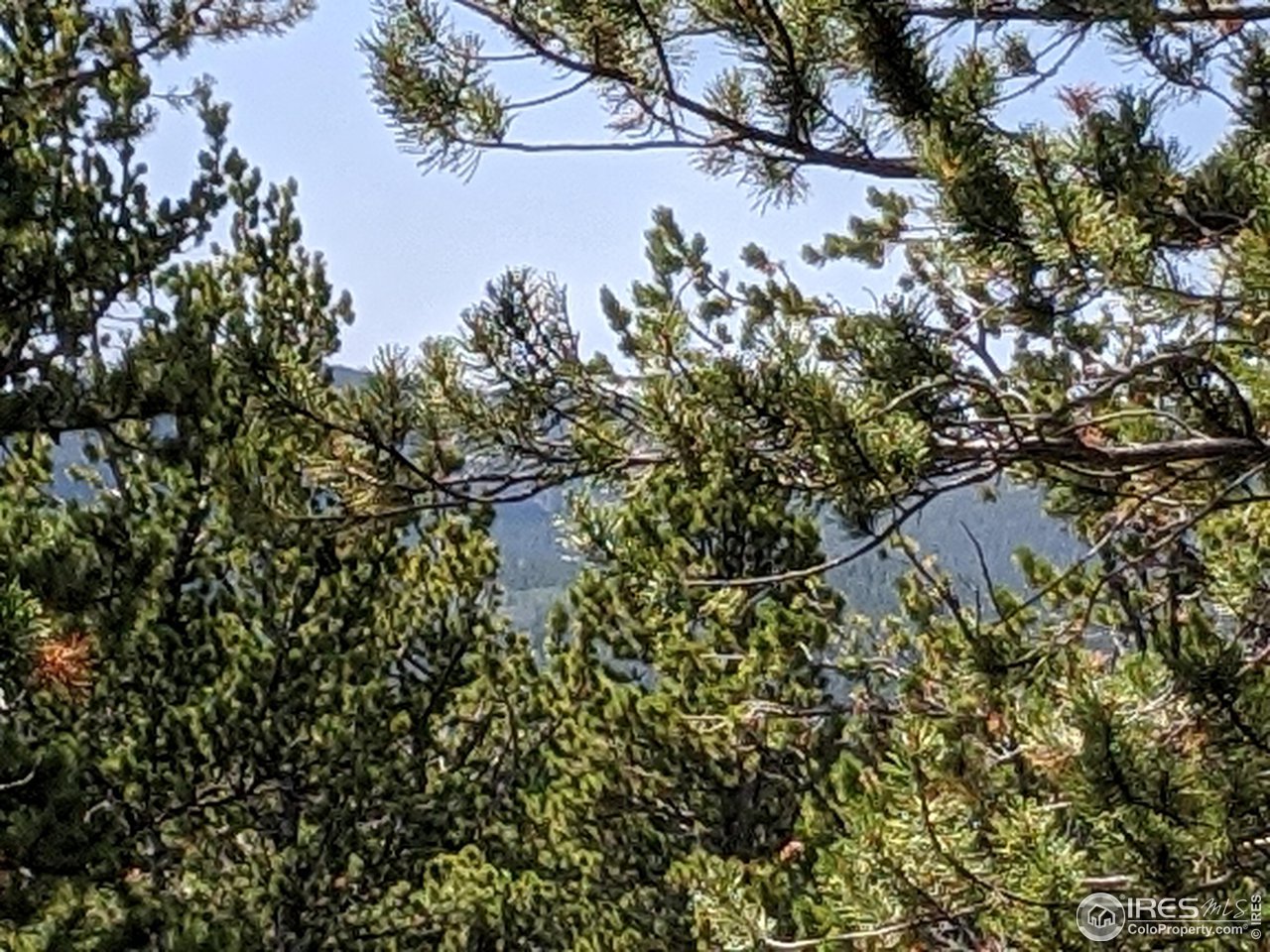 0 Jasper Road Black Hawk, CO 80422 - Photo 5 of 20 Gallery Image 5