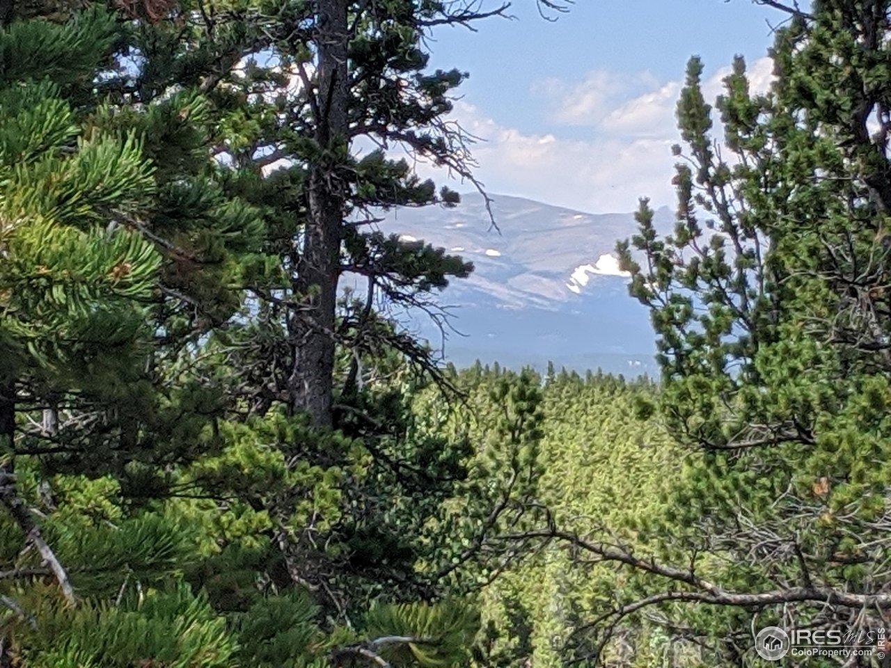 0 Jasper Road Black Hawk, CO 80422 - Photo 8 of 20 Gallery Image 8