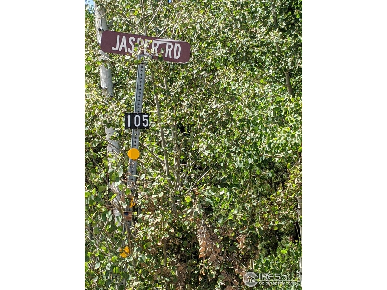 0 Jasper Road Black Hawk, CO 80422 - Photo 10 of 20 Gallery Image 10