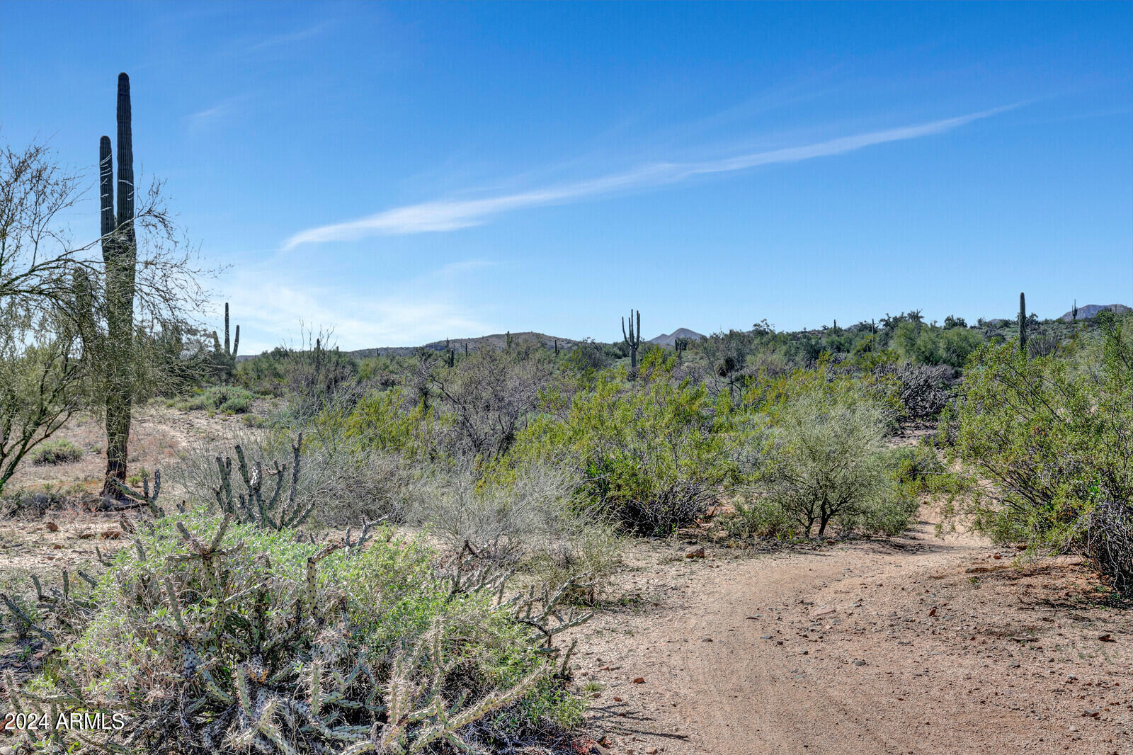 26247 North Arroyo Way Rio Verde, AZ 85263 - Photo 63 of 70 Beautiful Private Desert Hiking Trails
