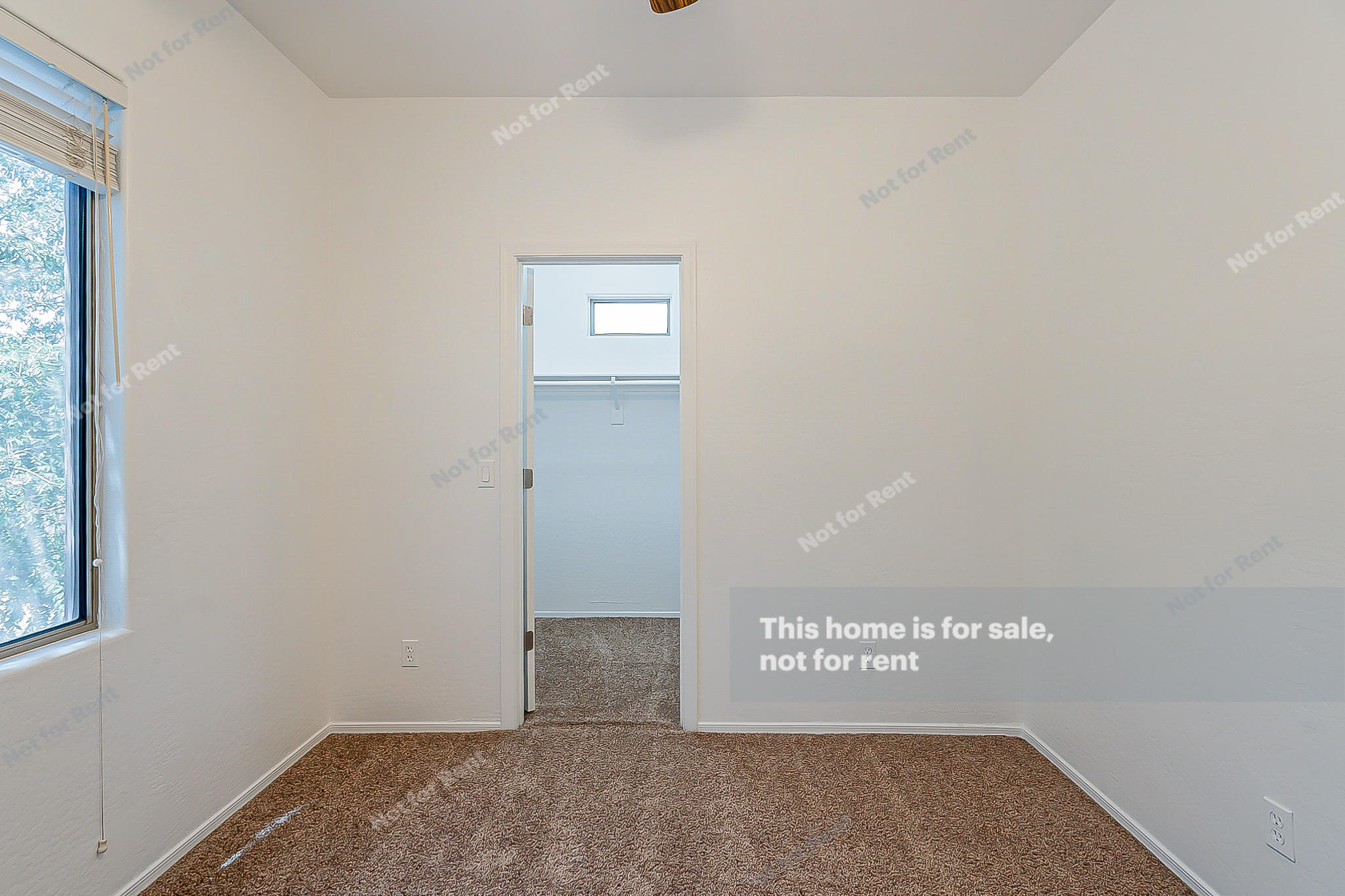 3544 West Kathleen Road Phoenix, AZ 85053 - Photo 11 of 15 listing_8