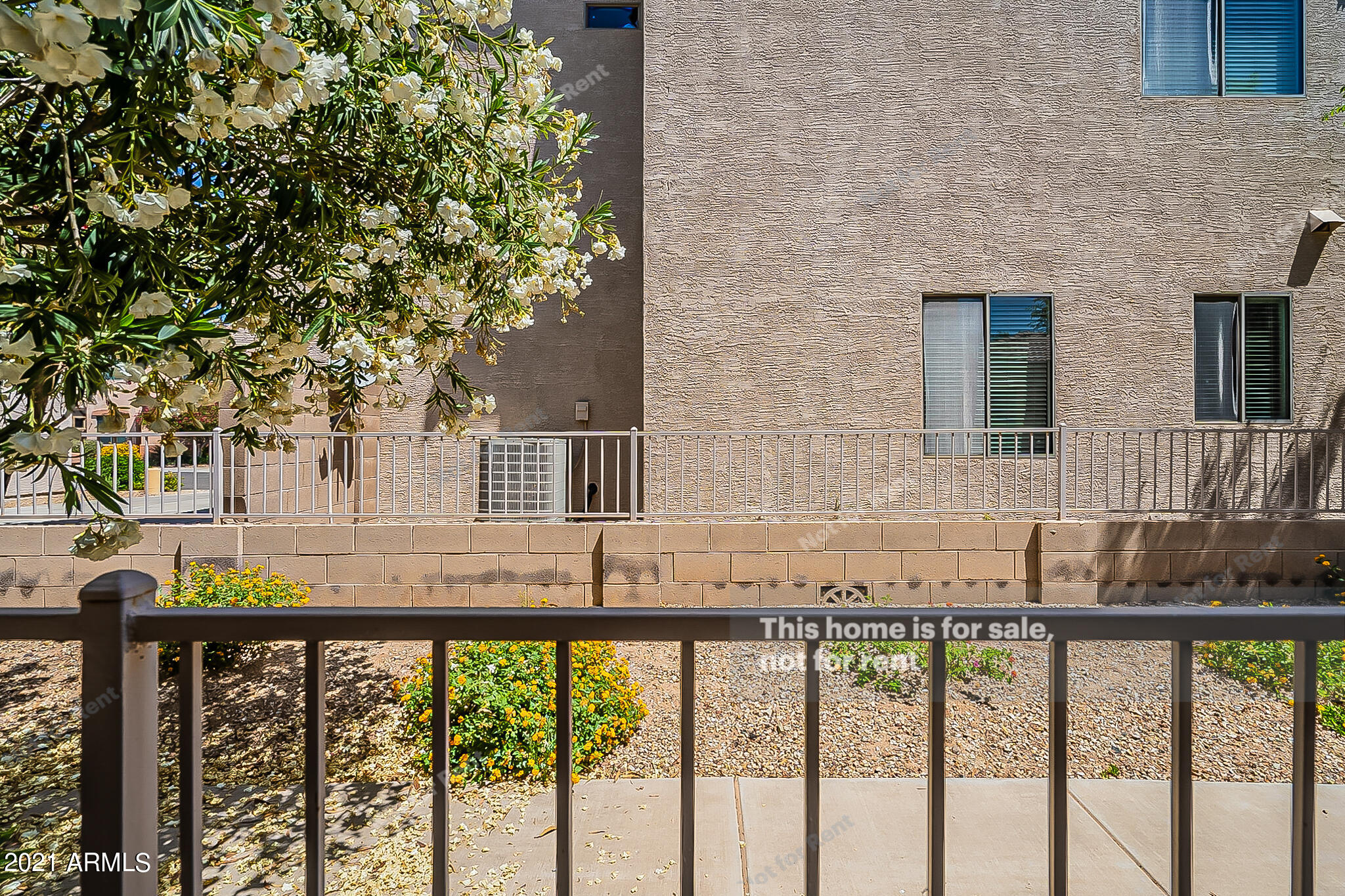 3544 West Kathleen Road Phoenix, AZ 85053 - Photo 15 of 15 listing_12
