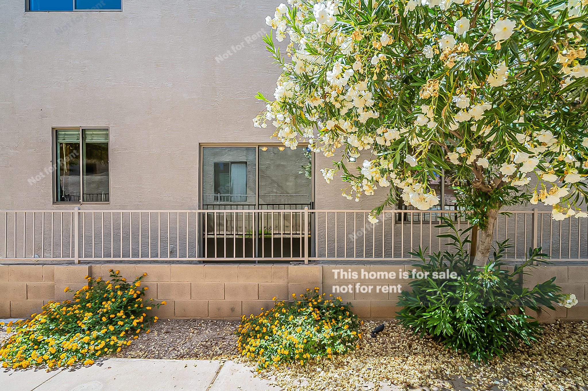 3544 West Kathleen Road Phoenix, AZ 85053 - Photo 7 of 15 listing_4