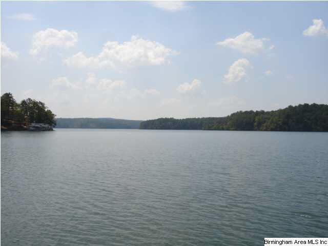Hummingbird Drive Wedowee, AL 36278 - Photo 1 of 6