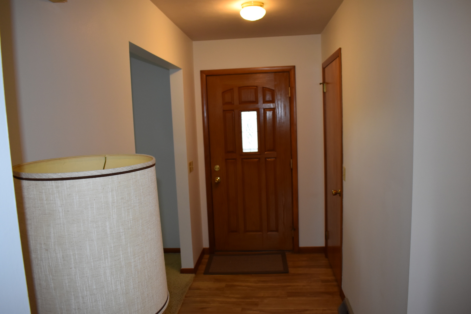 301 East Ririe Place Flanagan, IL 61740 - Photo 9 of 28