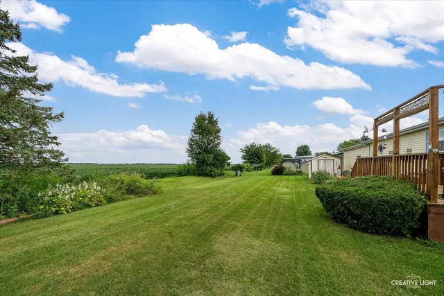a view of a big yard with plants and a big yard