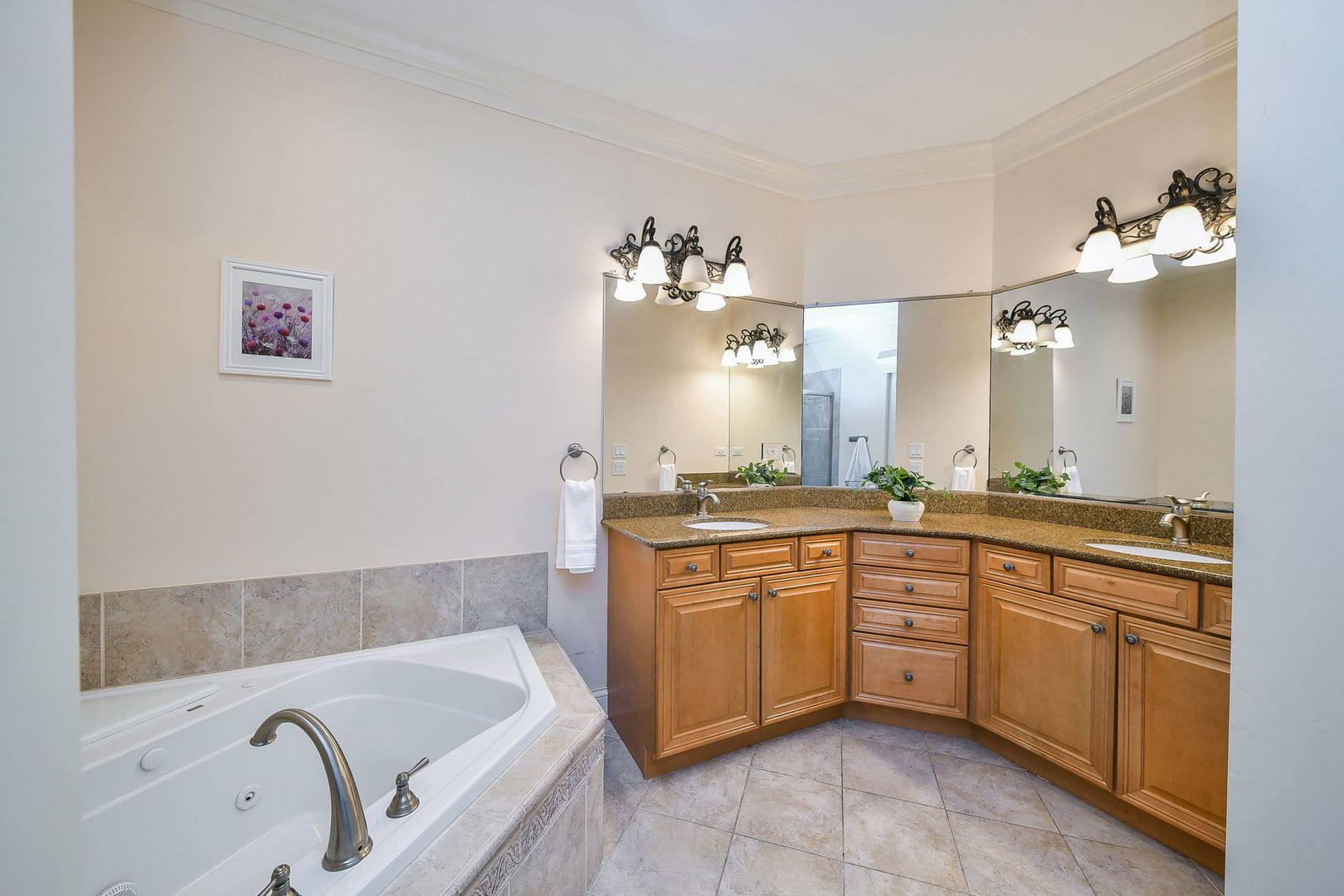 1811 Rizzi Lane, Unit 1811 Bartlett, IL 60103 - Photo 14 of 29 a bathroom with a granite countertop bathtub a sink and a mirror