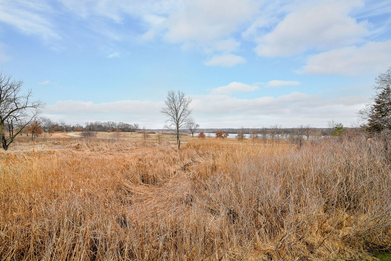 1811 Rizzi Lane, Unit 1811 Bartlett, IL 60103 - Photo 28 of 29 a view of a lake view