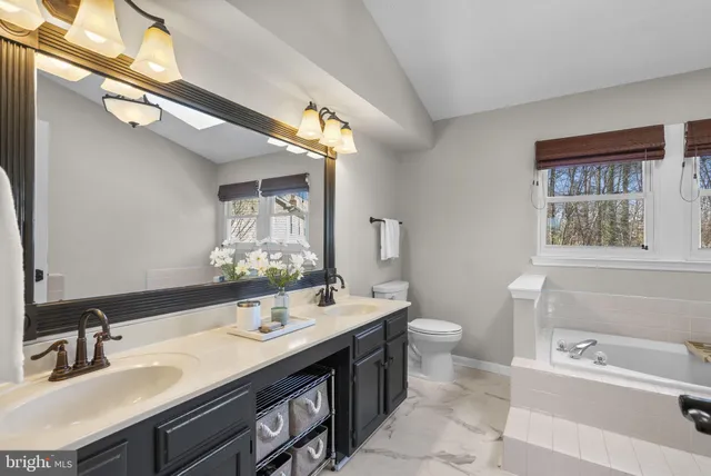 a bathroom with a double vanity sink toilet and a mirror