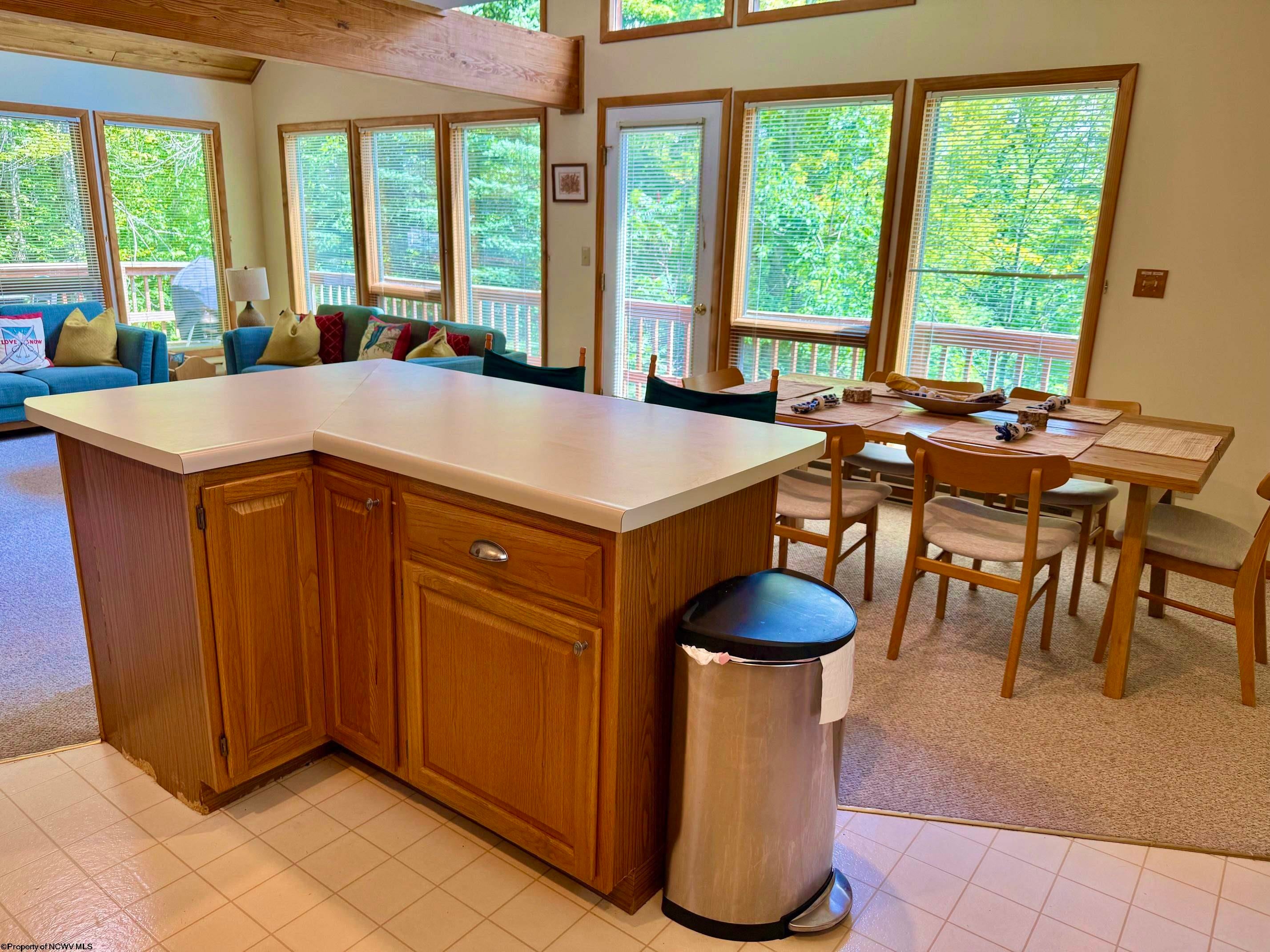 22 Snow Run Road Davis, WV 26260 - Photo 8 of 44 Gallery Image 8