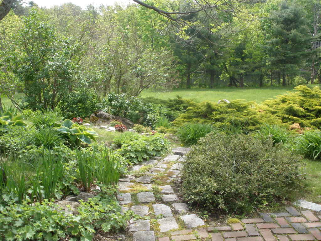 5 Butler Road Stockbridge, MA 01262 - Photo 7 of 22 a view of a lush green forest