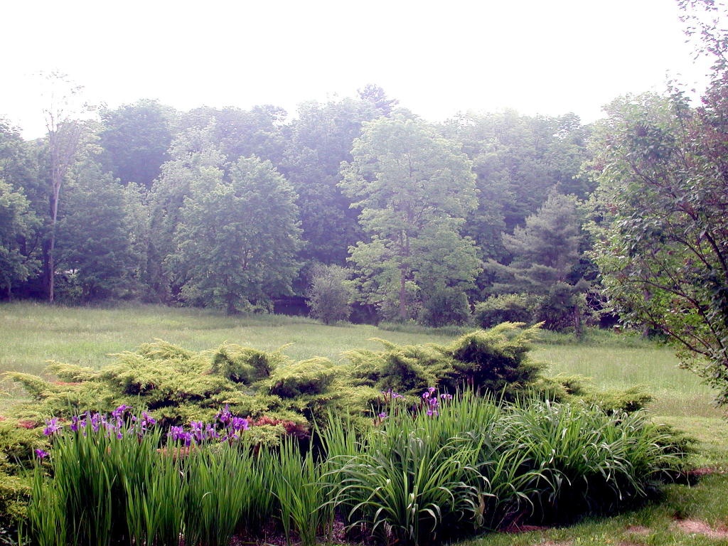 5 Butler Road Stockbridge, MA 01262 - Photo 8 of 22 a view of a garden with plants and large trees