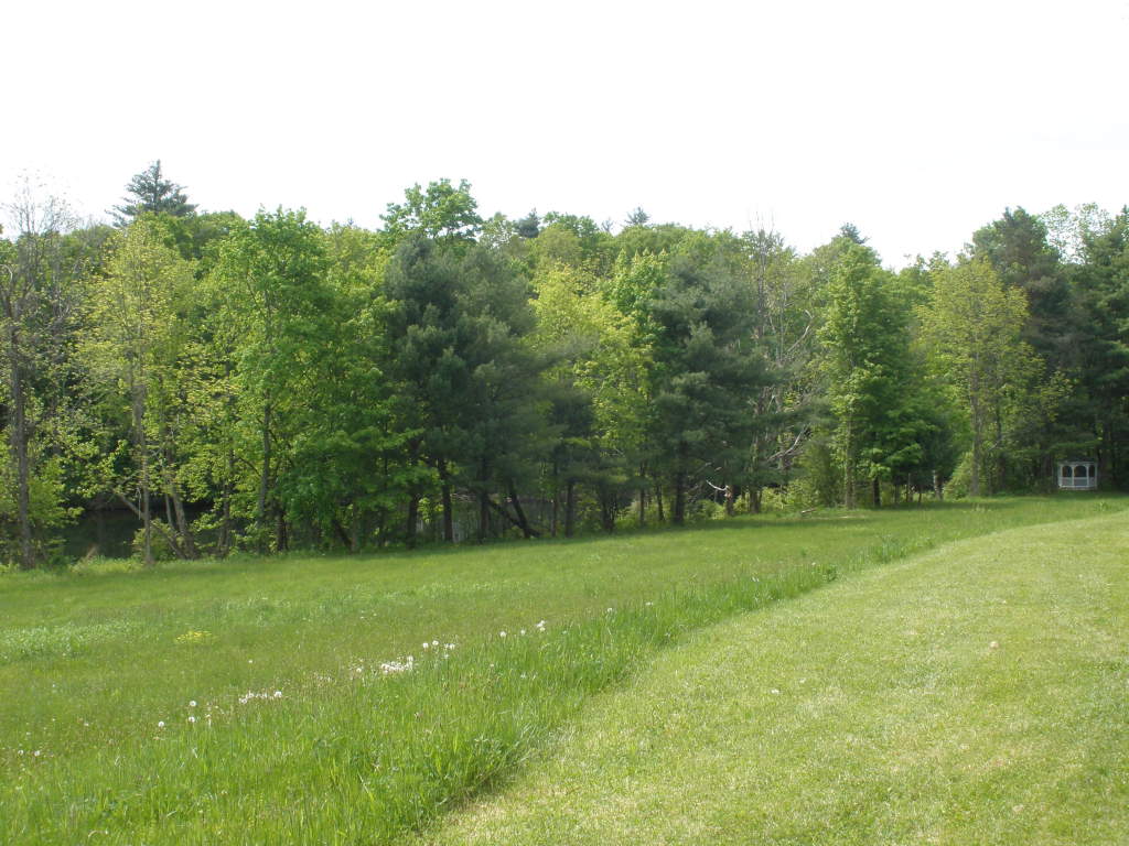 5 Butler Road Stockbridge, MA 01262 - Photo 9 of 22 a view of a grassy field with trees in the background