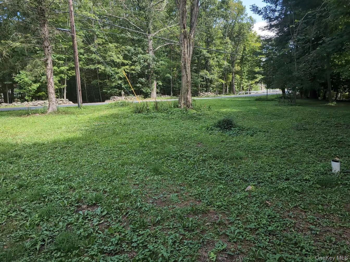 549 Hearts Content Road Cairo, NY 12473 - Photo 25 of 28 a view of a park with trees and grass
