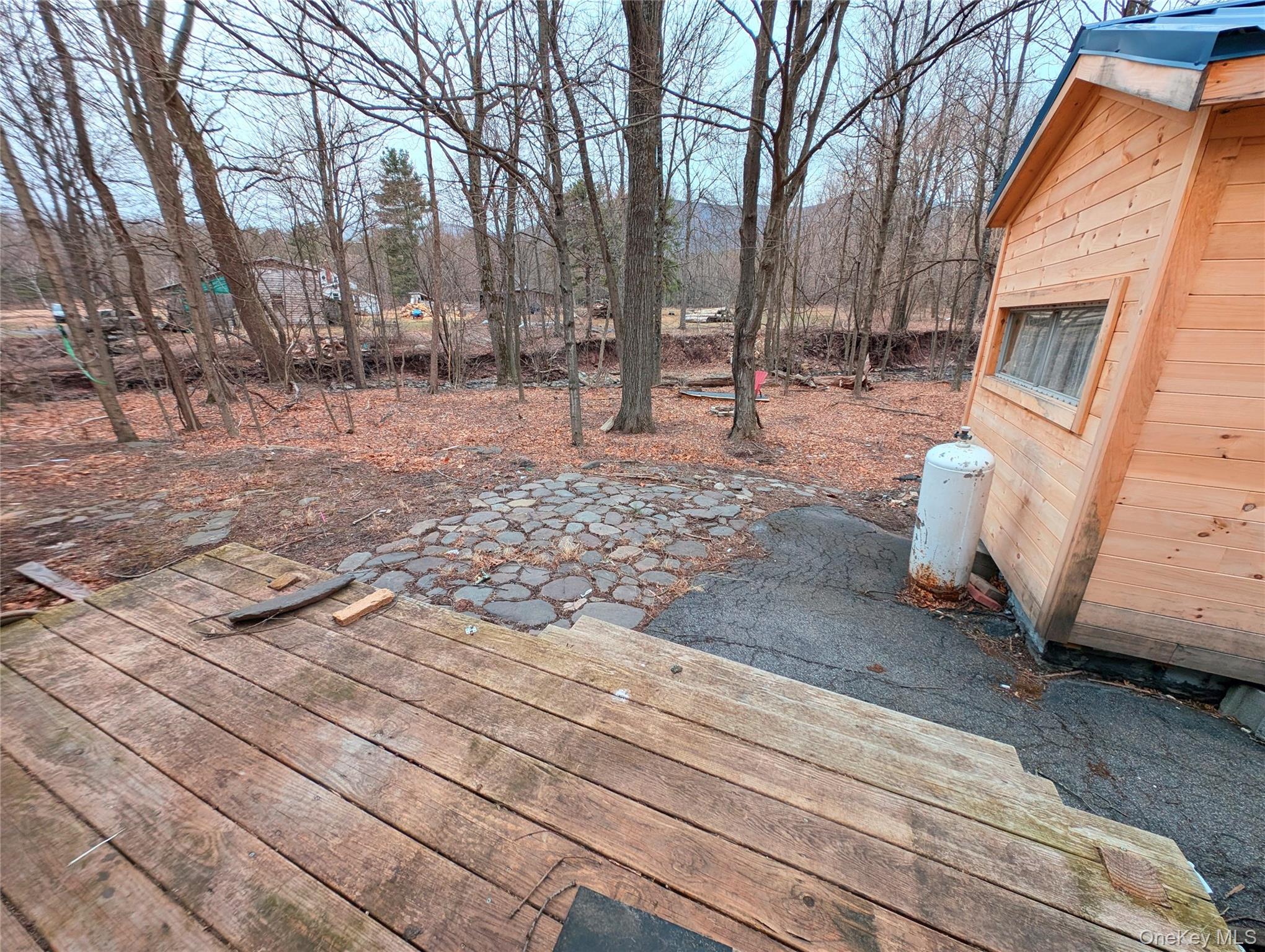 549 Hearts Content Road Cairo, NY 12473 - Photo 28 of 28 a view of a backyard with trees