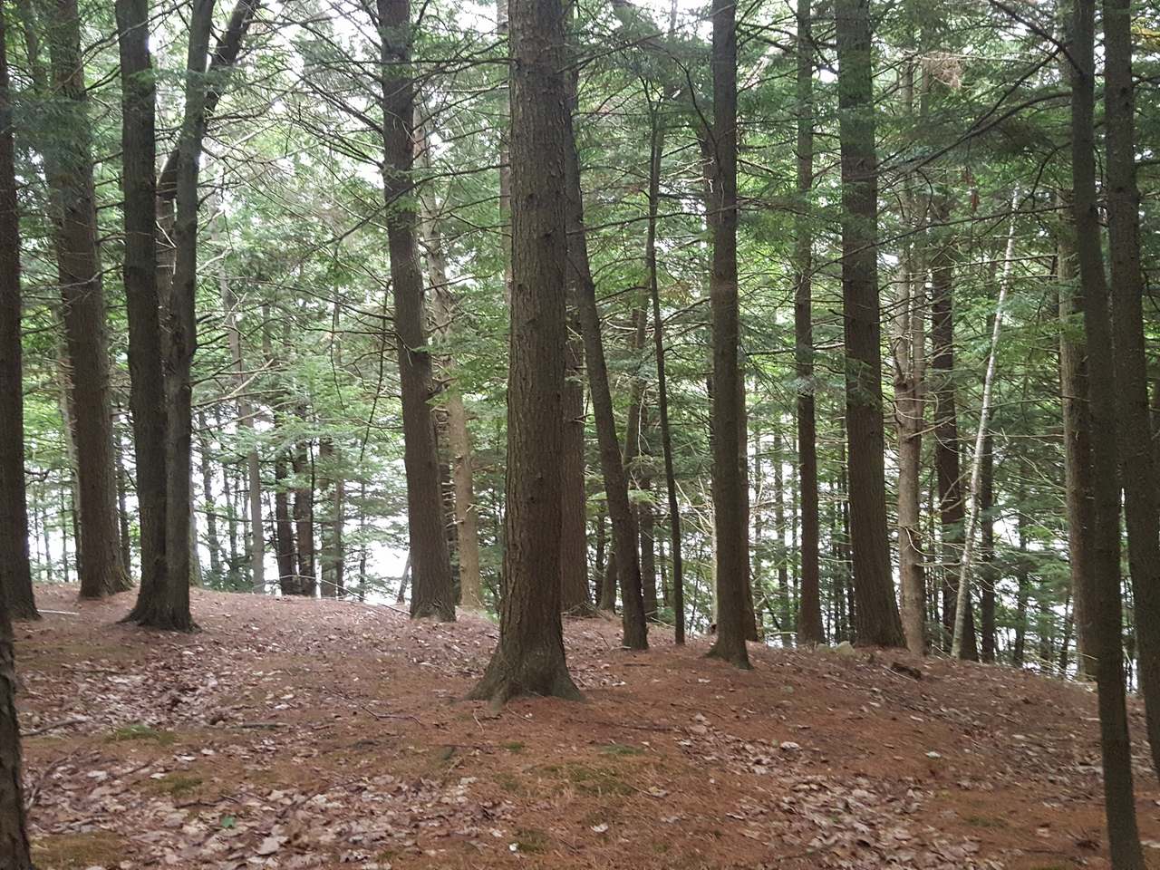 N9888 Cliff Road Tomahawk, WI 54487 - Photo 1 of 2 Gallery Image 1