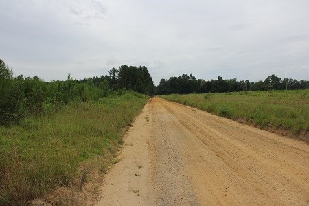 Mell Wright Road Norway, SC 29113 - Photo 12 of 12 Photo 12