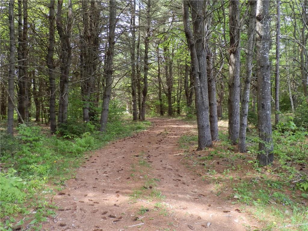 0 Bagley Mountain Road Lincoln, ME 04457 - Photo 1 of 22 Private road through the lot