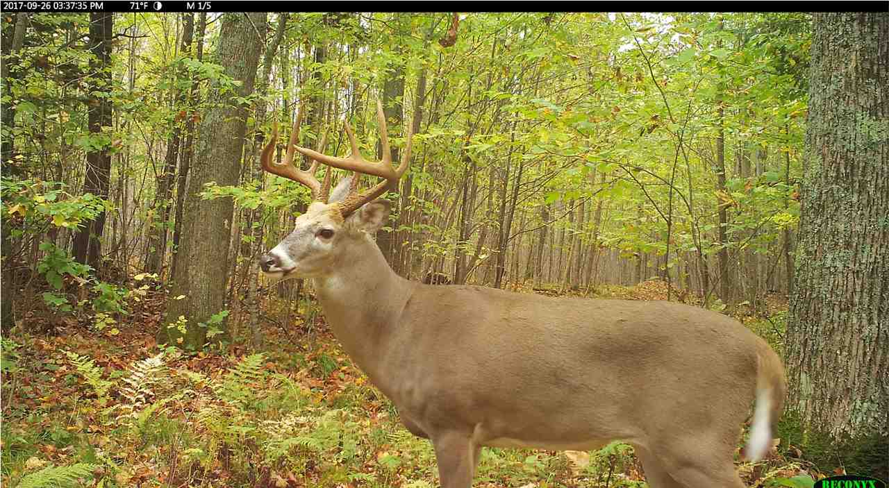 0 County Rd Y Hatley, WI 54440 - Photo 1 of 1