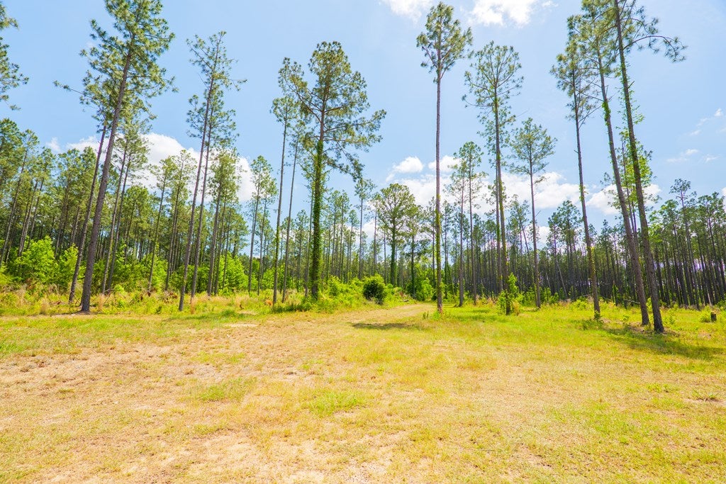 5555 Boyette Road Hahira, GA 31632 - Photo 51 of 56 Gallery Image 51