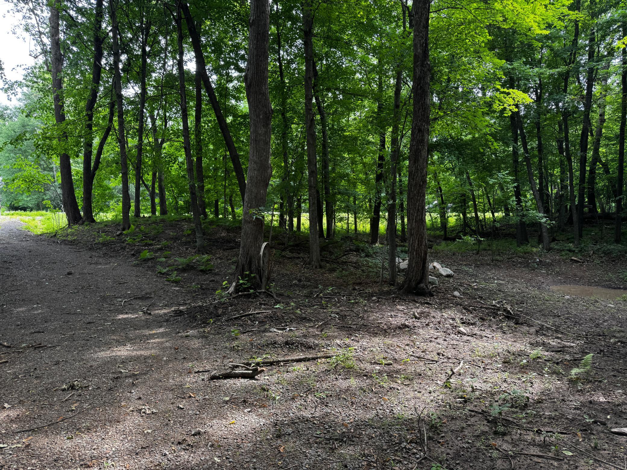 Xxx County Rd I Balsam Lake, WI 54810 - Photo 7 of 13