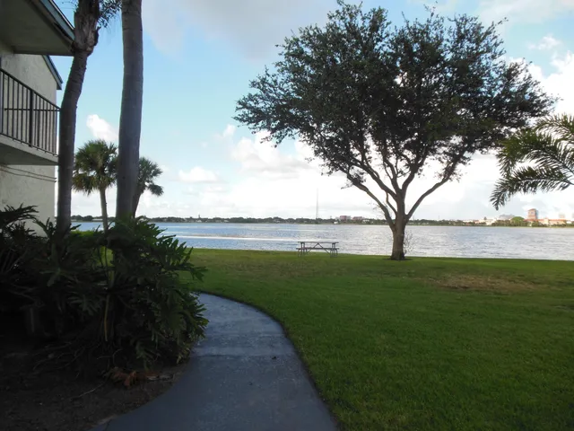 a view of a garden with a tree