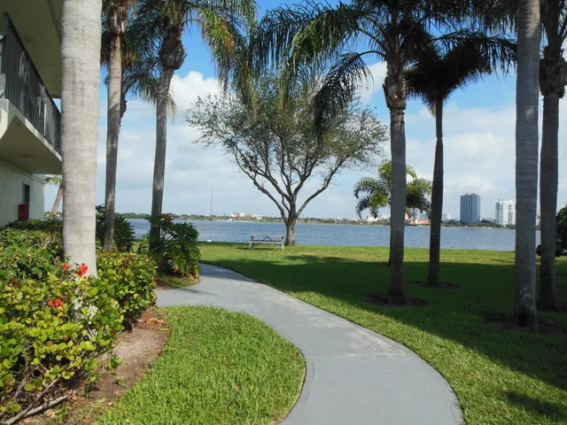 a view of a garden with an outdoor space