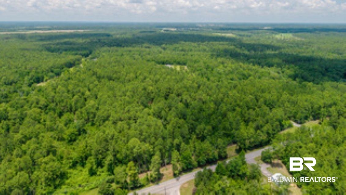 0 Roberts Chapel Road Mobile, AL 36608 - Photo 3 of 9