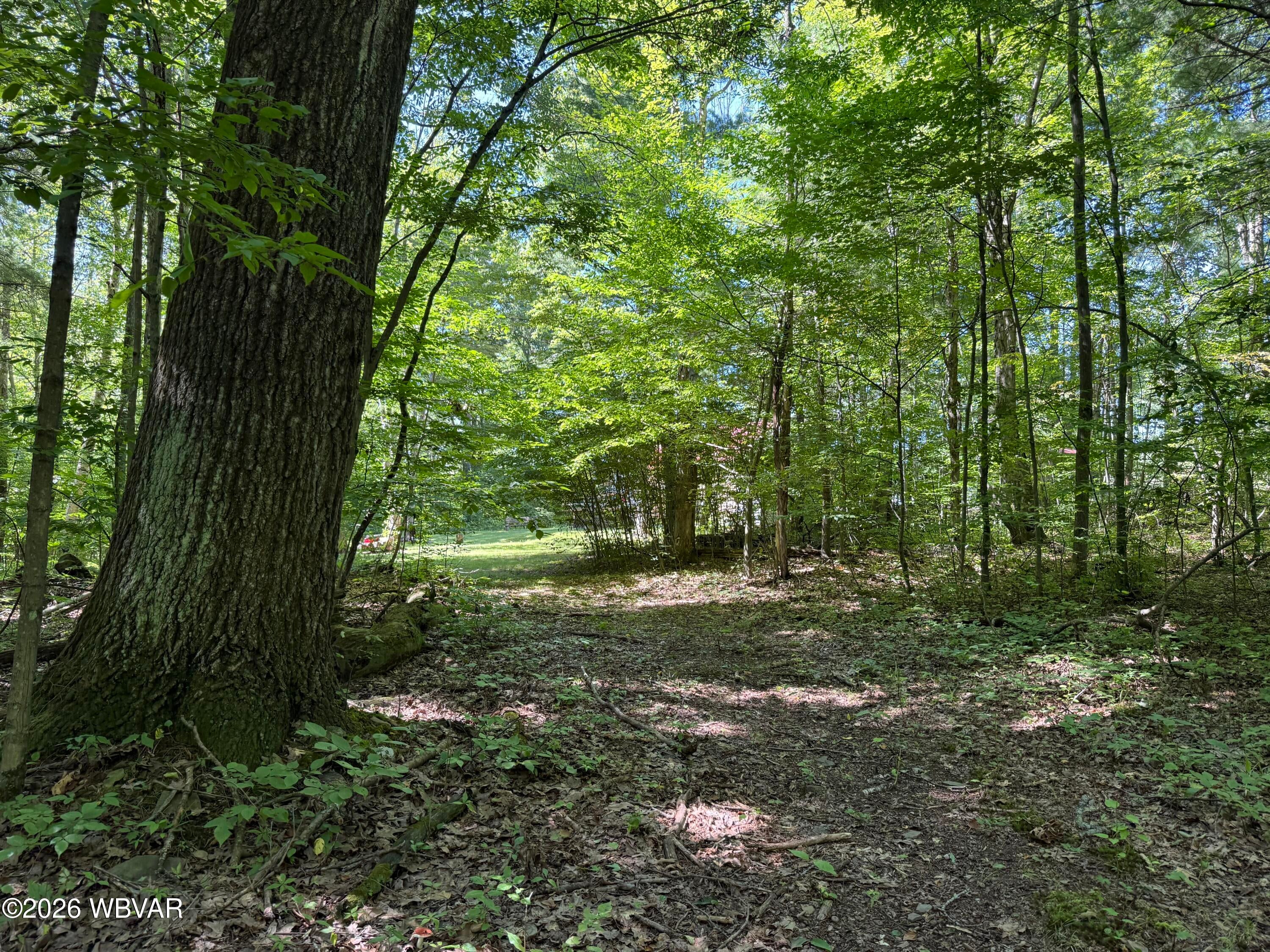 1714 Thunder Road Gillett, PA 16925 - Photo 29 of 33 Gallery Image 29